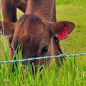 Meet your Posher, Maci